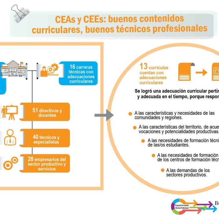 1 infografia adecurricular CEAS CEES